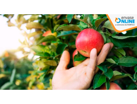 Guía definitiva sobre los protectores para árbol