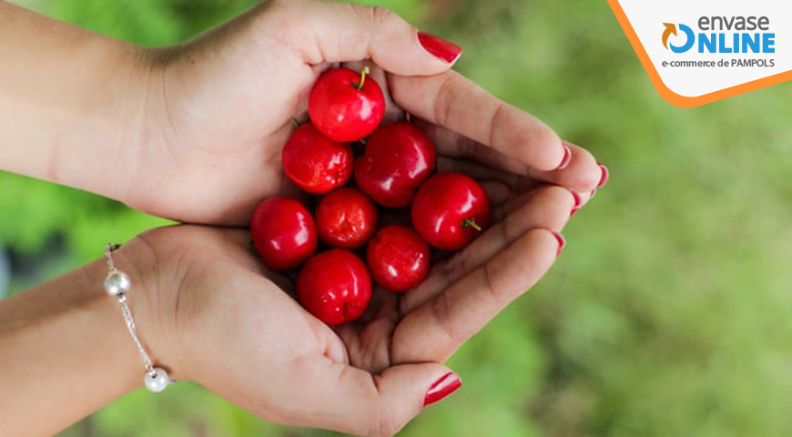 ¿Cómo almacenar la fruta de verano?