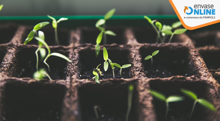 ¿Cómo preparar las semillas para realizar un cultivo agrícola?