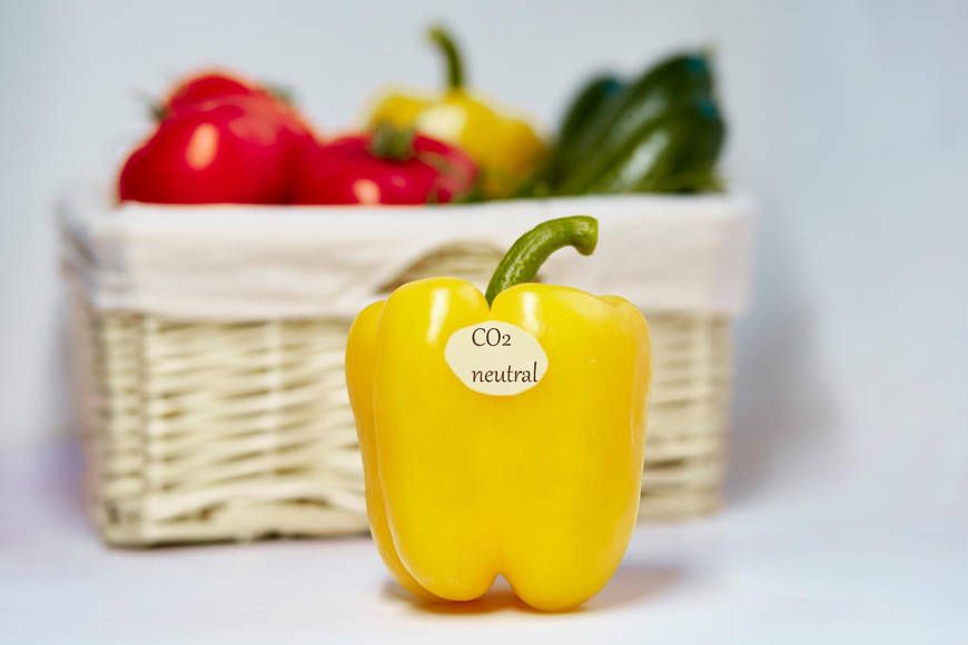 Los retos del etiquetado en el sector agroalimentario