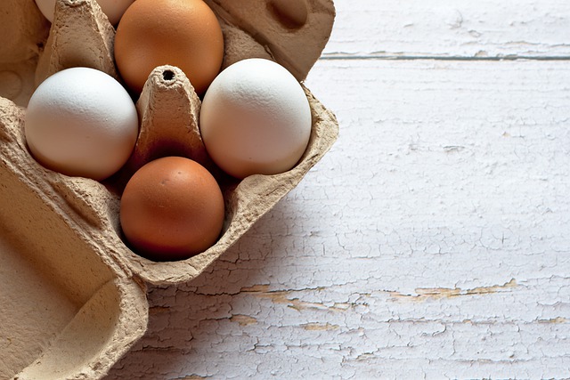 ¿Cómo conservar los huevos?