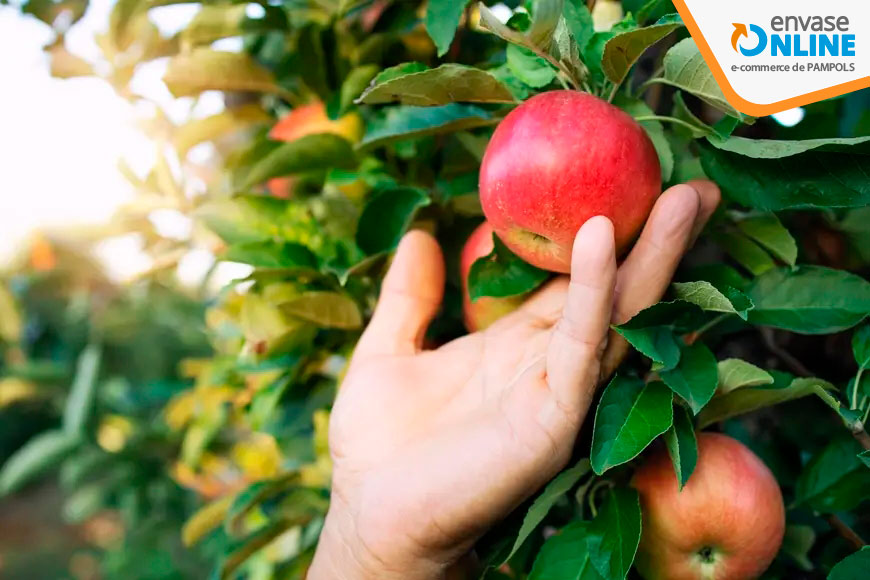 Guía definitiva sobre los protectores para árbol