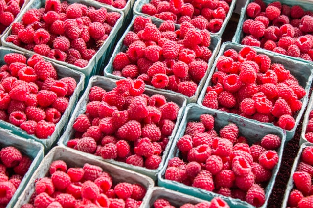 ¿Qué tipos de envases para almacenar alimentos existen?