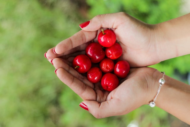 ¿Cómo almacenar la fruta de verano?