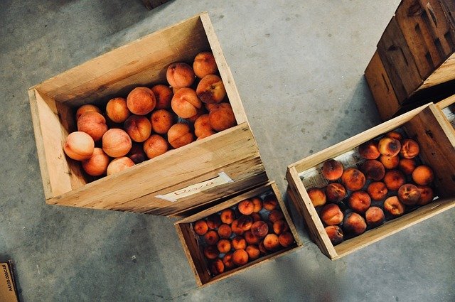 ¿Por qué es importante utilizar fondos y forros para transportar la fruta?