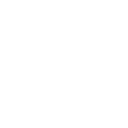 Entrega en 24-72horas
